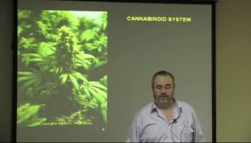 Imagen Ciclo Conferencias Abiertas: 'Papel del receptor cannabinoide CB2 como diana terapéutica'
