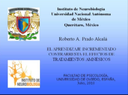 Imagen Conferencias Abiertas: 'El aprendizaje incrementado contrarresta los efectos de tratamientos amnésicos'