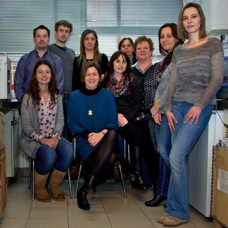 Imagen El grupo de investigación en Emulsiones trabaja en el diseño de un...